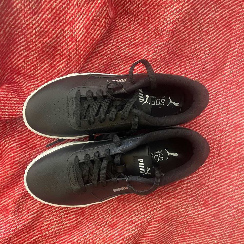 Black and White Pumas